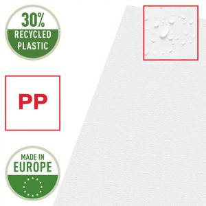 100 ESSELTE Sichthüllen Standard Plus